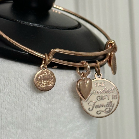 Alex and Ani Gold Bangle Bracelet - Picture 3 of 5